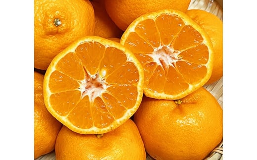 紀州和歌山有田産ポンカン　5㎏	※2026年1月上旬頃～2026年3月上旬頃に順次発送（お届け日指定不可）【uot722】