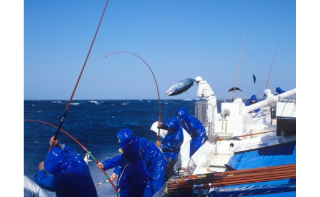 【串本町×北山村】黄金藁焼一本釣り鰹タタキ1kgとじゃばらポンズ100mlのセット かつおのたたき カツオ わら焼き 【1か月以内に発送】【nks100B】