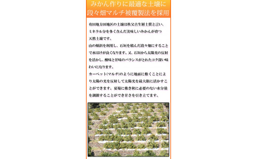 【ご家庭用訳あり】田村みかん　5kg ※2026年11月下旬～2027年1月下旬頃に発送（お届け日指定不可）（お届け日指定不可）訳ありみかん 温州みかん【uot754A】
