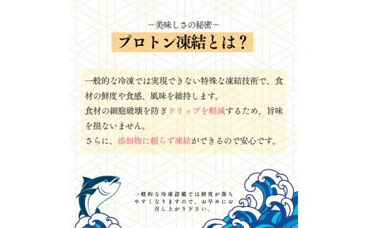 幻の高級魚 くえ 天然クエ鍋セット 2人前600g 【個体10kg以上】【2024年10月上旬～2025年2月下旬に順次発送】 / クエ クエ鍋 天然 魚 魚貝 海鮮　