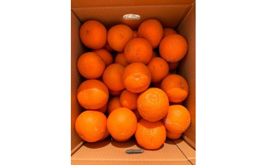 ããå®¶åºçšèš³ã¢ãªãçŽå·æç°ç£æž
èŠãªã¬ã³ãžã7.5kg â»2026幎3æäžæ¬é ã2026幎4æäžæ¬é ã«é 次çºéäºå®(ãå±ãæ¥æå®äžå¯)ãuot730ããuot730ã