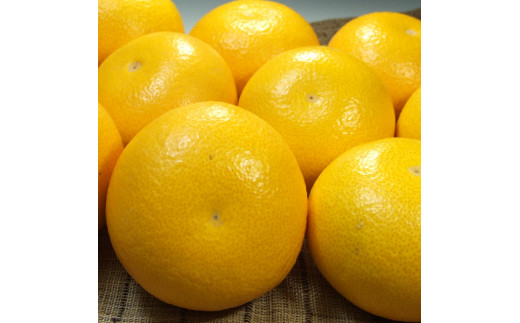 å
«æ(ã¯ã£ãã)çŽ5kg ãµã€ãºããŸãããçŽäŒåœå±æå·Šè¡éæ¬è â»2026幎1æäžæ¬ïœ2026幎4æäžæ¬é ã«çºéäºå®ãkstb410Bã