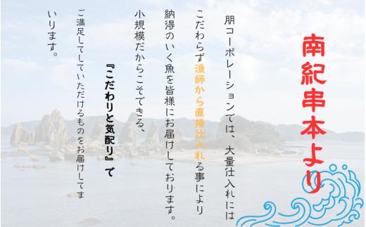 åæå±±çç£ å€©ç¶ ããããã°ã çŽ300g / ãŸãã 鮪 ããããã°ã æµ·é®® éè² éããtcr001Aã