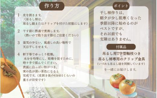 柿 干し柿 甘さが違う！とっても甘くなる生渋柿（平たねなし柿）吊るし柿用 T字枝or吊るしクリップ付 約2.5～3kg 約9～18個 １０月下旬～順次発送(日付指定不可)-Ted【art040】