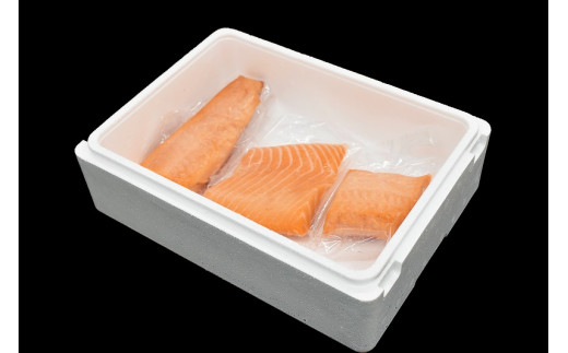 タスマニア産サーモンブロック 3ブロック 合計600g サーモン 鮭 さけ 刺身 さしみ 冷凍 オーストラリア産 切り身 個包装【nks701A】