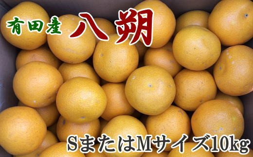 【手選果】有田産の八朔10kg（SまたはMサイズいずれかお届け）＜2027年1月下旬～2027年2月下旬頃に順次発送＞【tec845A】