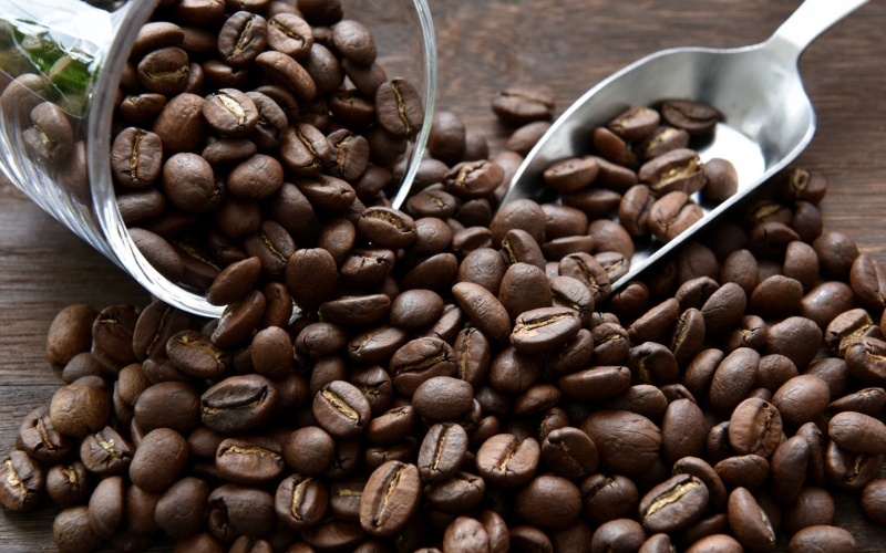 自家焙煎ハウスダークブレンドコーヒー300g / コーヒー 珈琲 珈琲豆 コーヒー豆 ブレンドコーヒー 飲料 飲み物 焙煎 自家製倍 和歌山 【tec979A】