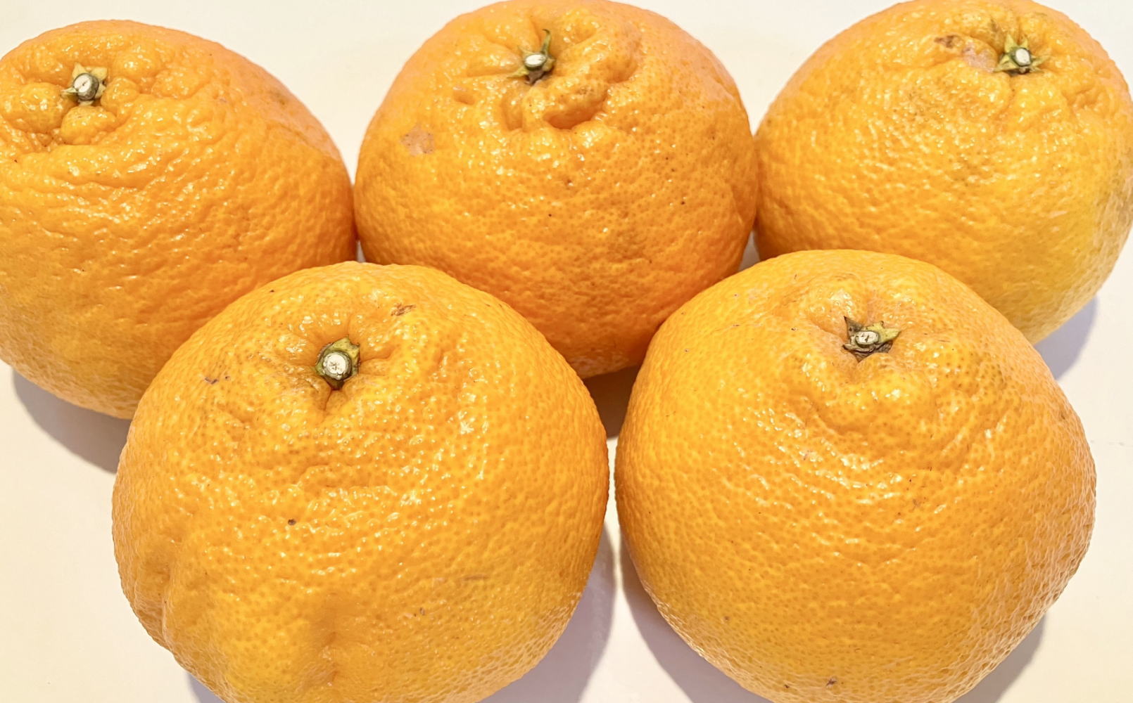 「農園直送」和歌山県産不知火　もりもりの約9kg(サイズ混合　ご家庭用) ※2027年2月下旬～3月下旬頃順次発送予定【tecj1055】