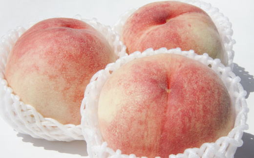 【定期便】定期便全3回 【7月・8月・9月発送】 和歌山の夏の人気フルーツをお届け（桃・梨・シャイン）【tkb429】 