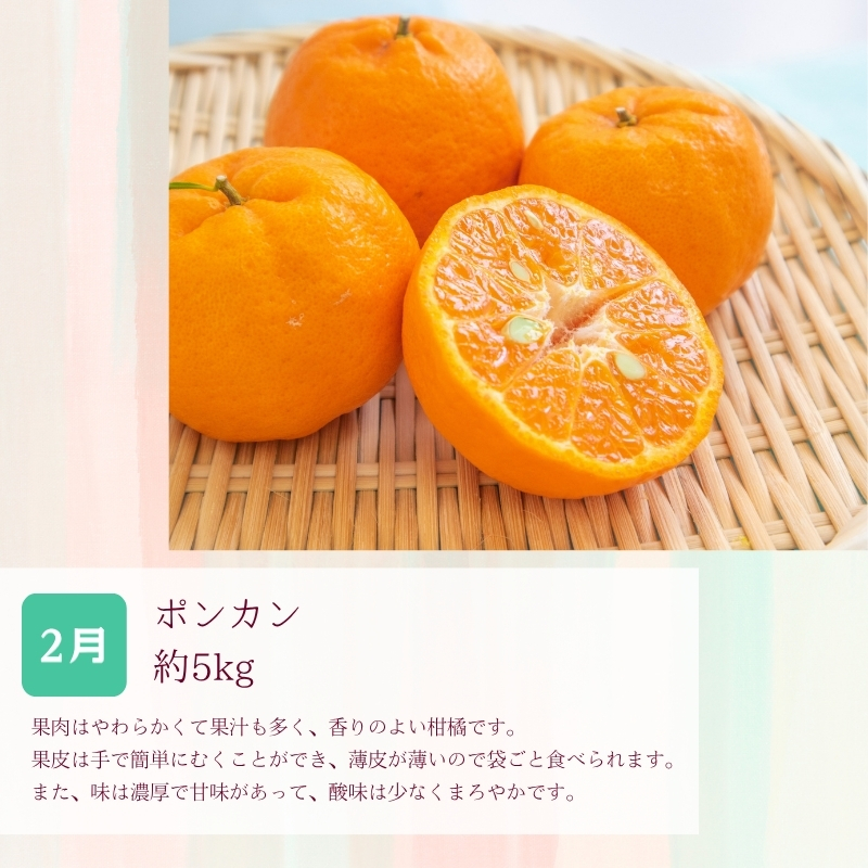 定期便全3回 【2月・3月・4月発送】 和歌山の春の柑橘 （ポンカン・はるか・ブラッドオレンジ）秀品【tkb452】 