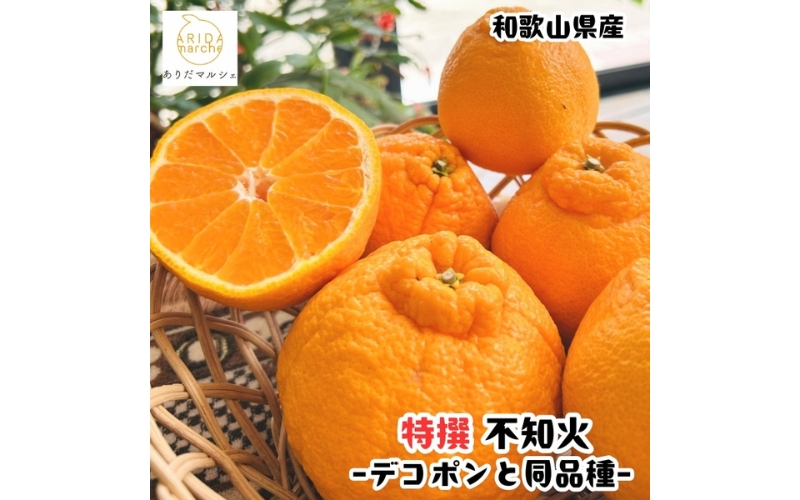 特選 濃厚 不知火 (通称デコポン)  2kg+200g(痛み補償分) ※2027年1月下旬～3月下旬に順次発送【ard257】