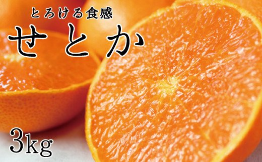 とろける食感！ジューシー柑橘　せとか　約3kg【予約】※2027年2月下旬頃〜3月中旬頃順次発送(お届け日指定不可)【uot506A】