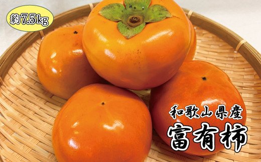 和歌山秋の味覚　富有柿　約7.5kg　【uot702A】