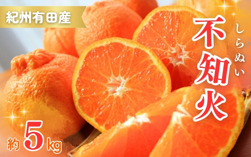 紀州有田産不知火(しらぬひ) 約5kg 2027年2月下旬頃〜3月中旬頃順次発送＞（お届け日指定不可）【uot709A】