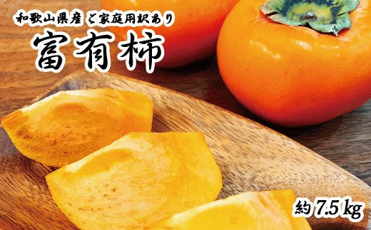 【ご家庭用わけあり】和歌山秋の味覚　富有柿　約7.5kg【uot719A】