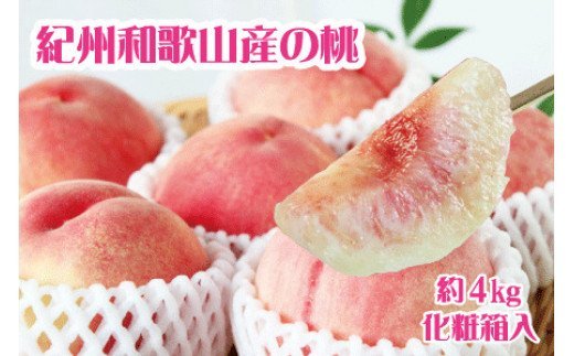 紀州和歌山産の桃　約4kg　化粧箱入 ※2026年6月下旬頃〜2026年8月上旬頃順次発送（お届け日指定不可）【uot723A】