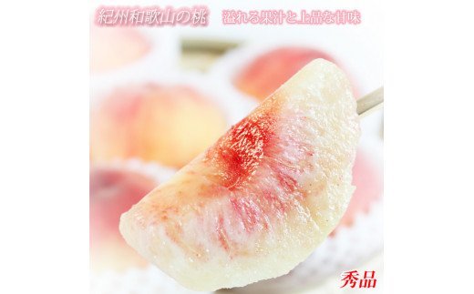 秀品　紀州和歌山産の桃　3玉　化粧箱入　※2026年6月下旬頃〜2026年8月上旬頃順次発送（お届け日指定不可）【uot750】