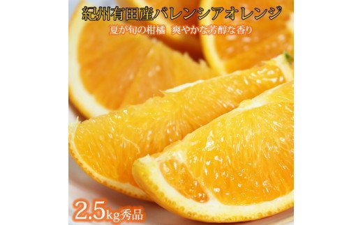 秀品　希少な国産バレンシアオレンジ　2.5kg　※2027年6月下旬頃〜7月上旬頃順次発送（お届け日指定不可）【uot752】