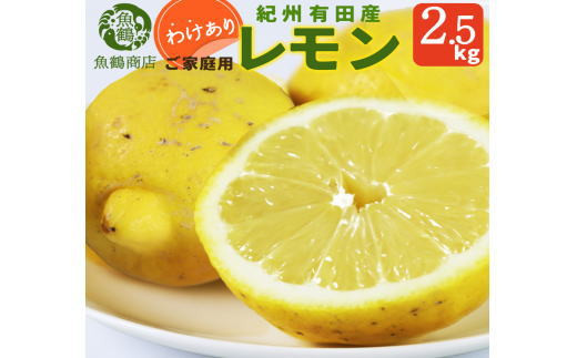 【ご家庭用訳あり】紀州有田産レモン　2.5kg【予約】※2027年3月上旬頃〜3月下旬頃に順次発送予定(お届け日指定不可) レモン れもん 果物 柑橘【uot777】