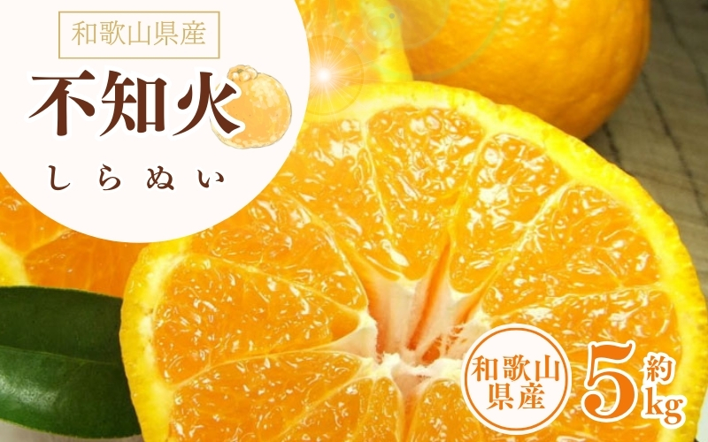 デコ不知火（デコポン） 約5kg/サイズおまかせ　※2026年2月上旬～2026年4月上旬頃に順次発送予定(お届け日指定不可)　紀伊国屋文左衛門本舗　【kstb420A】