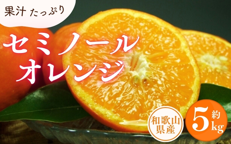 セミノールオレンジ 約5kg/サイズおまかせ　※2025年4月中旬～2025年5月下旬頃に順次発送予定(お届け日指定不可)　紀伊国屋文左衛門本舗　【kstb481A】