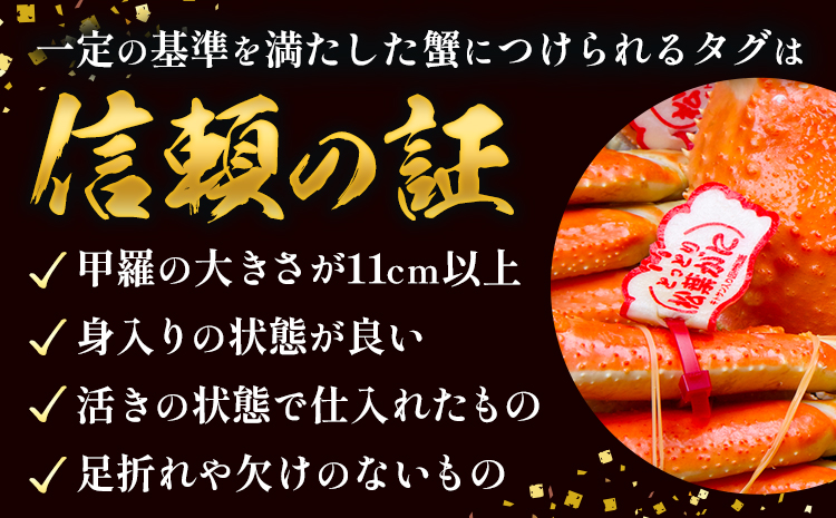 かに タグ付き 松葉ガニ 約1kg 以上 活き 《2024年11月上旬-2025年4月中旬頃出荷》お魚センターみくりや 鳥取県 八頭町 蟹 かに カニ 鍋 松葉ガニ 活き 送料無料