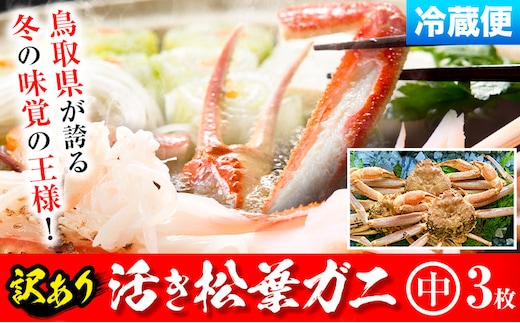 ★【先行予約】【活き】訳あり 松葉ガニ 中 3枚(1枚/500〜640g前後) 高間商店《11月中旬-3月下旬頃出荷》鳥取県 八頭町 送料無料 カニ 蟹 かに 訳あり 鍋 珍味 冬 グルメ ズワイガニy-2