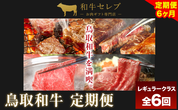 【和牛セレブ】 鳥取和牛 定期便 レギュラークラス 全6回 6ヶ月『和牛セレブ｜お肉ギフト専門店』《お申込み月の翌月から発送》鳥取県 八頭町 和牛 牛 牛肉 国産 黒毛和牛 和牛セレブ しゃぶしゃぶ 焼肉