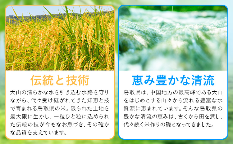 縲12繝カ譛亥ョ壽悄萓ソ縲鷹ウ・蜿 縺オ繧九&縺ィ 逋ス邀ウ 10kg 貂豬√@縺壹¥邀ウ縲翫♀逕ウ縺苓セシ縺ソ譛医ョ鄙梧怦縺九i蜃コ闕キ髢句ァ九矩ウ・蜿也恁 蜈ォ鬆ュ逕コ 邀ウ 縺顔アウ 縺秘」ッ 蜈ォ鬆ュ 縺オ繧九&縺ィ 逕滓エサ蠢懈抄 繝悶Ξ繝ウ繝臥アウ 隍謨ー蜴滓侭邀ウ 險ウ縺ゅj 蟆丞縺 kome 縺秘」ッ