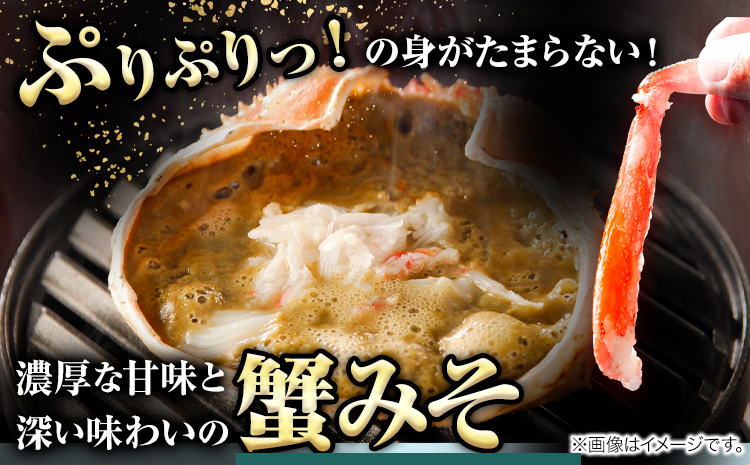 カニ 松葉ガニ タグ付き 贈答用 小サイズ(400g〜500g)1枚《2024年11月中旬-2025年3月中旬出荷予定》鳥取県 八頭町 送料無料 蟹 かに 海鮮 松葉ガニ 贈答 タグ付 冷蔵 鍋 しゃぶしゃぶ【配送不可地域あり】