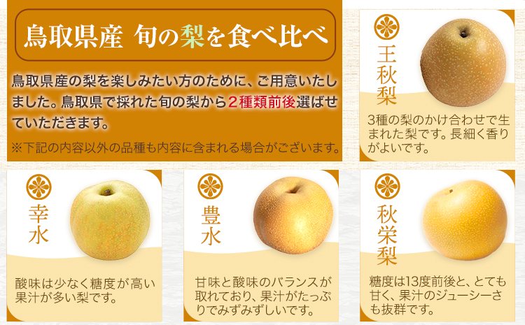 ã2026幎å
è¡äºçŽãç§å äºåäžçŽæ¢šãšæ¬ã®èµ€æ¢šã»ãã çŽ5kg(10ã18ç) é«éååºã2026幎8æäžæ¬-10æäžæ¬é åºè·ã é³¥åç å
«é çº æ¢š ãªã ãã· æç© ãã«ãŒã ã®ãã å
è¡äºçŽ éæç¡æ çã æå® ææ± ãã¶ãŒã