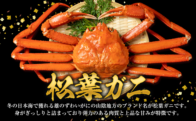 かに タグ付き 松葉ガニ 約1kg 以上 活き 《2024年11月上旬-2025年4月中旬頃出荷》お魚センターみくりや 鳥取県 八頭町 蟹 かに カニ 鍋 松葉ガニ 活き 送料無料