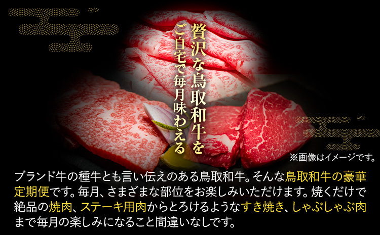 【和牛セレブ】 鳥取和牛 定期便 レギュラークラス 全6回 6ヶ月『和牛セレブ｜お肉ギフト専門店』《お申込み月の翌月から発送》鳥取県 八頭町 和牛 牛 牛肉 国産 黒毛和牛 和牛セレブ しゃぶしゃぶ 焼肉