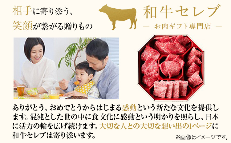 【和牛セレブ】 鳥取和牛 定期便 ゴールドクラス 全6回 6ヶ月『和牛セレブ｜お肉ギフト専門店』《お申込み月の翌月から発送》鳥取県 八頭町 和牛 牛 牛肉 国産 黒毛和牛 和牛セレブ しゃぶしゃぶ 焼肉