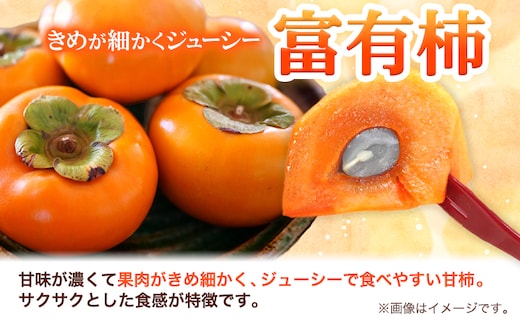 【2026年先行予約】秀品 王秋梨と富有柿のセット 約4kg 高間商店《2026年11月上旬-12月下旬頃出荷予定》鳥取県 八頭町 送料無料 梨 なし ナシ 柿 かき カキ 王秋梨 富有柿 果物 フルーツ ギフト 贈り物y-1