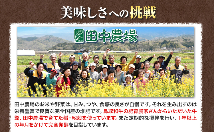 繧ォ繝ャ繝シ蟆ら畑邀ウ 繝励Μ繝ウ繧サ繧ケ縺九♀繧 5kg 譛蛾剞莨夂、セ 逕ー荳ュ霎イ蝣エ縲90譌・莉・蜀縺ォ蜃コ闕キ莠亥ョ(蝨滓律逾晞勁縺)縲矩ウ・蜿也恁 蜈ォ鬆ュ逕コ 邀ウ 縺顔アウ 縺秘」ッ 繧ォ繝ャ繝シ 騾∵侭辟。譁