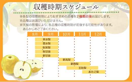 なし 梨 旬の赤梨セット 約3kg (3~10玉) 先行予約《2025年8月下旬から1月上旬頃出荷》 鳥取県 八頭町 果物 フルーツ 秀品 厳選 ふるさと納税 高間商店 幸水 豊水 秋栄梨 秋甘泉 新甘泉 新高梨 あたご梨 王秋梨 先行予約