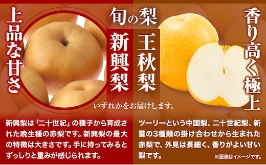 【2026年先行予約】訳あり かき 柿 梨 なし 輝太郎柿と旬の梨セット 秀品 約3kg《2026年10月上旬-10月末頃出荷予定》 鳥取県 八頭町 果物 くだもの フルーツ セット 高間商店 送料無料 y-1