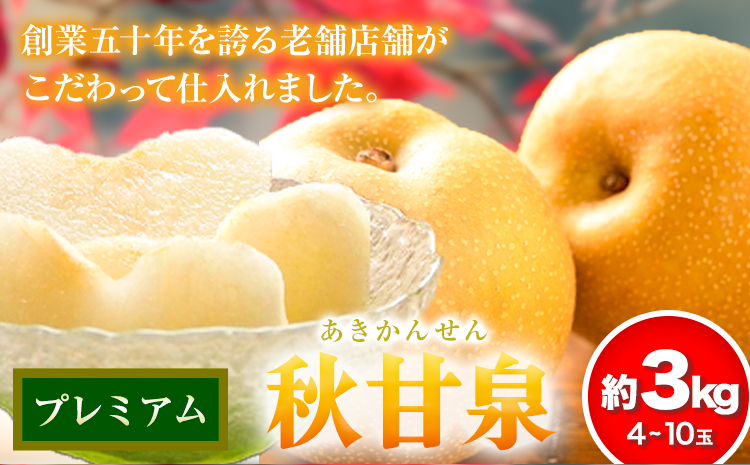 【先行予約】プレミアム 秋甘泉 約3kg (4~10玉) 高間商店《2025年8月下旬から10月上旬頃出荷》鳥取県 八頭町 梨 なし ナシ 果物 フルーツ プレミアム 果汁 ふるさと納税 秋甘泉梨 果実 甘い 高間商店 オリジナル品種