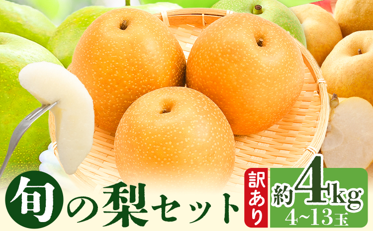 【2026年先行予約】訳あり 鳥取県産 旬の梨セット 約4kg (4~13玉) 高間商店 《2026年8月下旬-12月上旬頃出荷予定》鳥取県 八頭町 梨 なし 果物 フルーツ 幸水 豊水 秋栄梨 秋甘泉 新甘泉 新高梨 あたご梨 王秋梨 先行予約