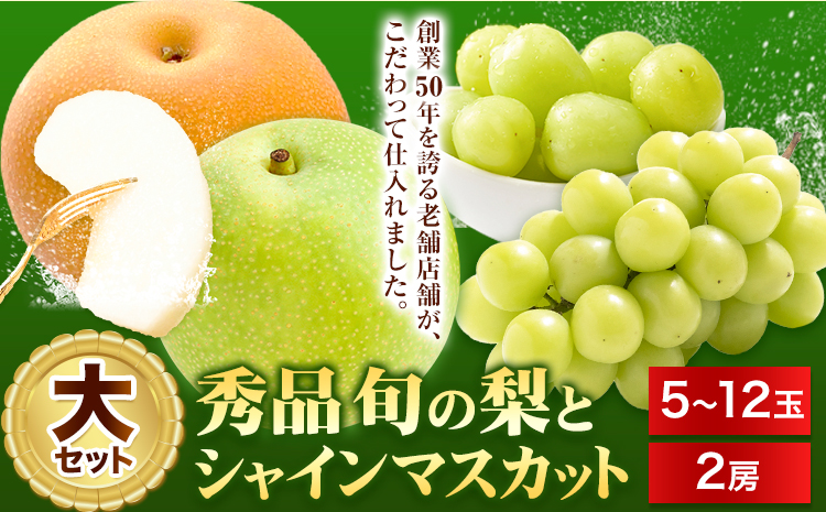 【先行予約】梨 なし シャインマスカット と 旬 の 梨 セット (大) 高間商店《8月下旬から10月中旬頃出荷》 鳥取県 八頭町 果物 くだもの フルーツ マスカット ナシ ぶどう ブドウ