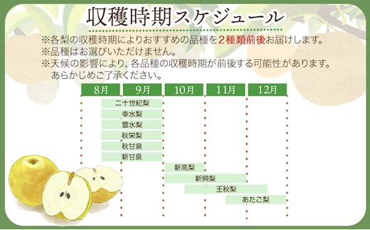 【2026年先行予約】訳あり 鳥取県産 旬の梨セット 約4kg (4~13玉) 高間商店 《2026年8月下旬-12月上旬頃出荷予定》鳥取県 八頭町 梨 なし 果物 フルーツ 幸水 豊水 秋栄梨 秋甘泉 新甘泉 新高梨 あたご梨 王秋梨 先行予約