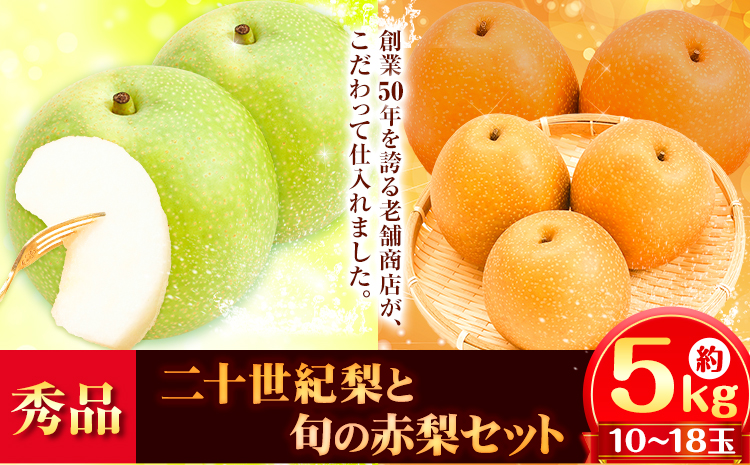 【2026年先行予約】秀品 二十世紀梨と旬の赤梨セット 約5kg(10〜18玉) 高間商店《2026年8月下旬-10月上旬頃出荷》 鳥取県 八頭町 梨 なし ナシ 果物 フルーツ ギフト 先行予約 送料無料 甘い 果実 果汁 デザート