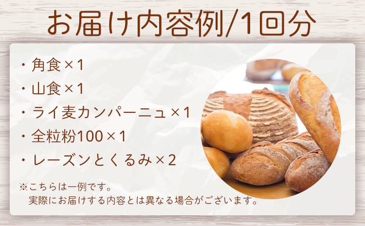 【6ヶ月定期便】もりのひと 天然酵母パン 詰め合わせ 選べる 定期便 回数 6回 もりのひと《お申込み月の翌月から発送》 鳥取県 八頭町 パン 食パン カンパーニュ ライ麦 全粒粉 くるみとレーズン 送料無料