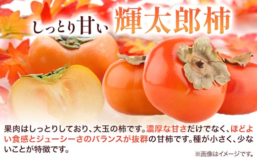 【2026年先行予約】かき 柿 梨 なし 輝太郎柿と旬の梨セット 秀品 約3kg《2026年10月上旬-10月末頃出荷予定》 鳥取県 八頭町 果物 くだもの フルーツ セット 高間商店 送料無料y-1