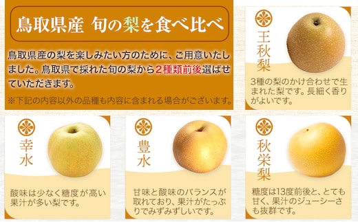 【2026年先行予約】梨 なし シャインマスカット と 旬 の 梨 セット (小) 高間商店《2026年8月下旬-10月中旬頃出荷予定》 鳥取県 八頭町 果物 くだもの フルーツ マスカット ナシ ぶどう ブドウ y-1