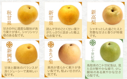 【2026年先行予約】訳あり 鳥取県産 旬の梨セット 約4kg (4~13玉) 高間商店 《2026年8月下旬-12月上旬頃出荷予定》鳥取県 八頭町 梨 なし 果物 フルーツ 幸水 豊水 秋栄梨 秋甘泉 新甘泉 新高梨 あたご梨 王秋梨 先行予約