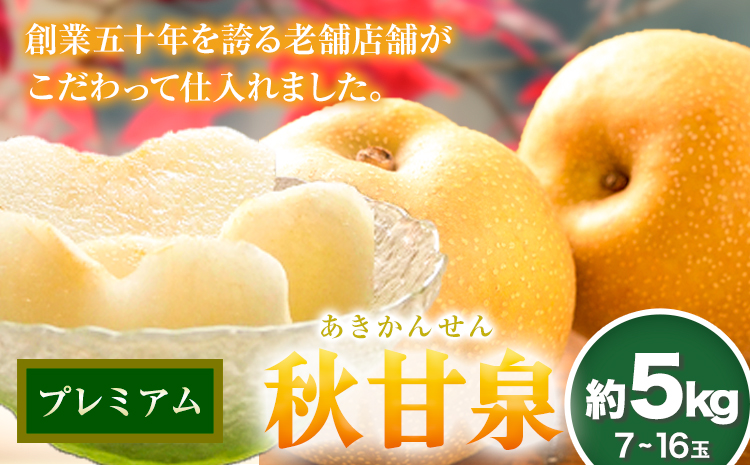 【先行予約】プレミアム 秋甘泉 約5kg (7~16玉) 高間商店《2024年8月下旬から10月上旬頃出荷》鳥取県 八頭町 梨 なし ナシ 果物 フルーツ プレミアム 果汁 ふるさと納税 秋甘泉梨 果実 甘い 高間商店 オリジナル品種