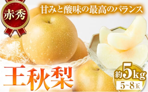 [先行予約]王秋梨 赤秀 約5kg (5~8玉) JA鳥取いなば[10月下旬-11月中旬頃出荷]鳥取県 八頭町 梨 なし ナシ 果物 フルーツ ふるさと納税 送料無料 王秋梨 果実 果汁 常温便st-p