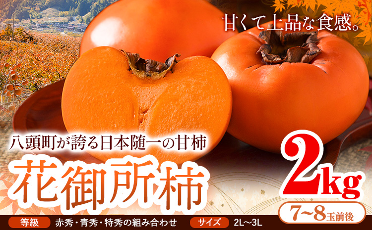 柿 八頭町が誇る 日本随一の 甘柿 花御所柿 2kg Tottori食のまごころ農園 [11月下旬-12月下旬頃出荷]鳥取県 八頭町 柿 かき カキ 花御所柿 甘柿 果物 フルーツst-p
